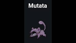 pokemon meme ?