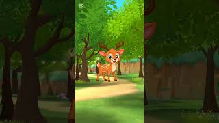 Aik Shot Ne History Bana Di