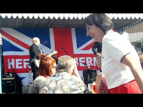 06  HERMANS  HERMITS   /  MY  SENTIMENTAL  FRIEND