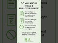 3 Employee Rights You Might Not Know UK Law 3 Employee Rights You Might Not Know UK Law