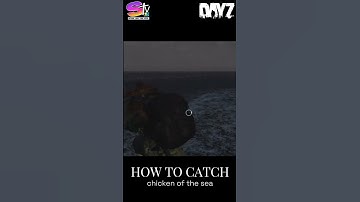 NEW FISHING GUIDE 🎣 DAYz How To Catch More Than Fish WITH NEW LURE! Tips & Tricks #gaming #tutorial