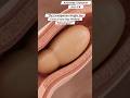 “The Constipation Weight You Carry Every Day Without Knowing | Gut Health | Anatomy Stomach Arts Uk