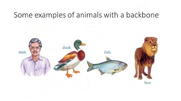 Skylark Science Book 2, Chapter 2, Lecture 1