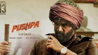 Dako Meka Song Promo Allu Arjun Rashmika