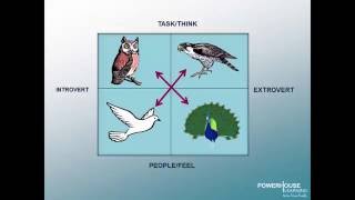 Behavior Styles