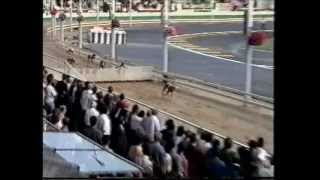 HURDLES WIMBLEDON ... day of the derby 92