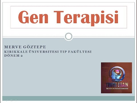 Gen Terapisi