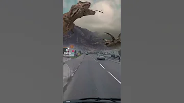 Tik Tok Dinosaurus 