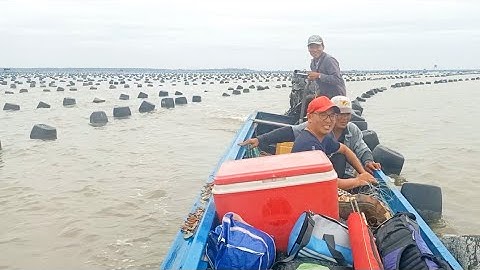 Câu cá Bông Lau Cần Giờ, ngày trở lại với thu hoạch ấn tượng, Part 1.