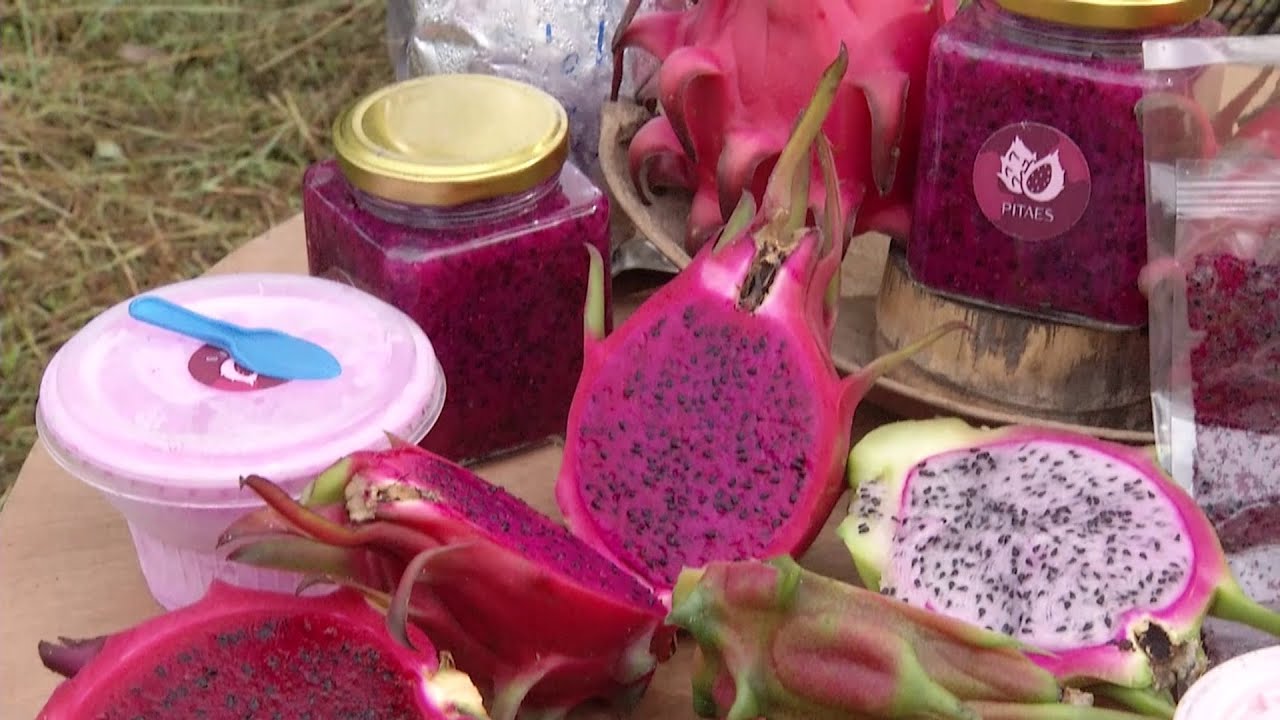 Hechos del Agro - Los esposos productores de oro rojo