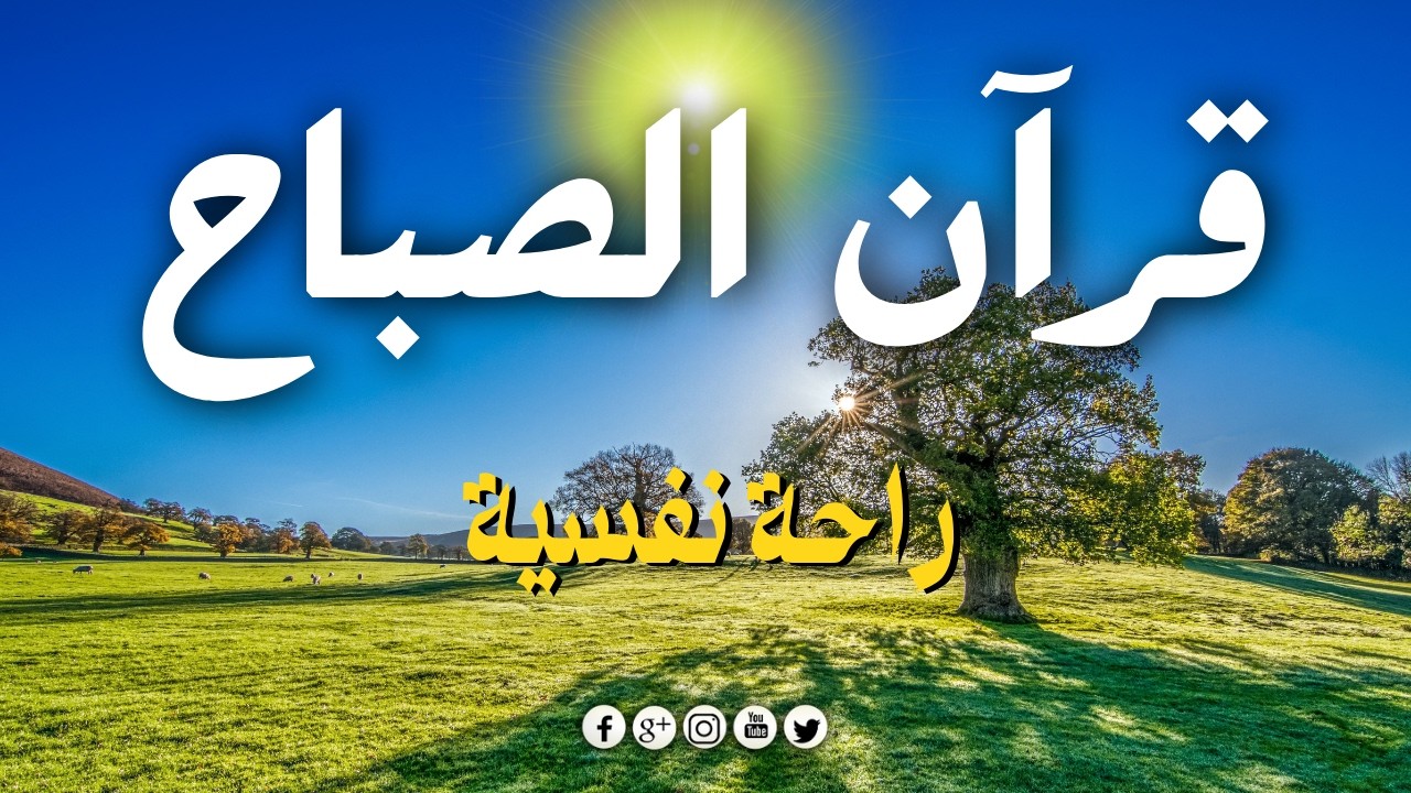 قرآن الصباح ☀️ قرآن كريم بصوت جميل جدا جدا يريح القلب 🤍 القارئ ابراهيم السيد