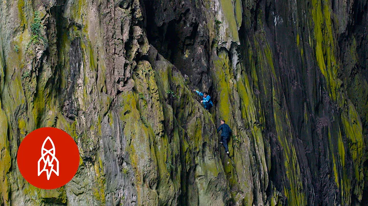 Chinese ‘Spider’ Climbers Use No Ropes or Tools to Scale Cliffs - DayDayNews