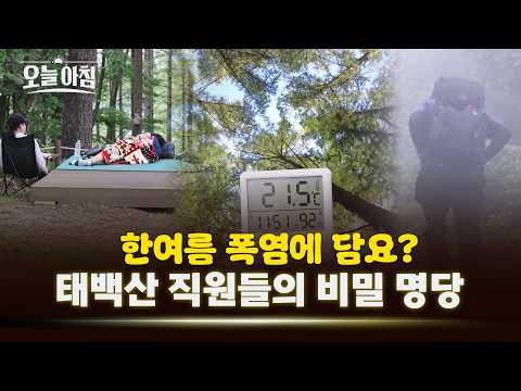 "여기 진짜 폭염 맞아요?" 🥶 담요 덮는 태백산! 직원들이 직접 밝힌 숨은 피서 명소 ㅣ [생방송오늘아침] #아침에만난사람들