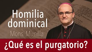 Homilía 2.11.2025 / Fieles Difuntos