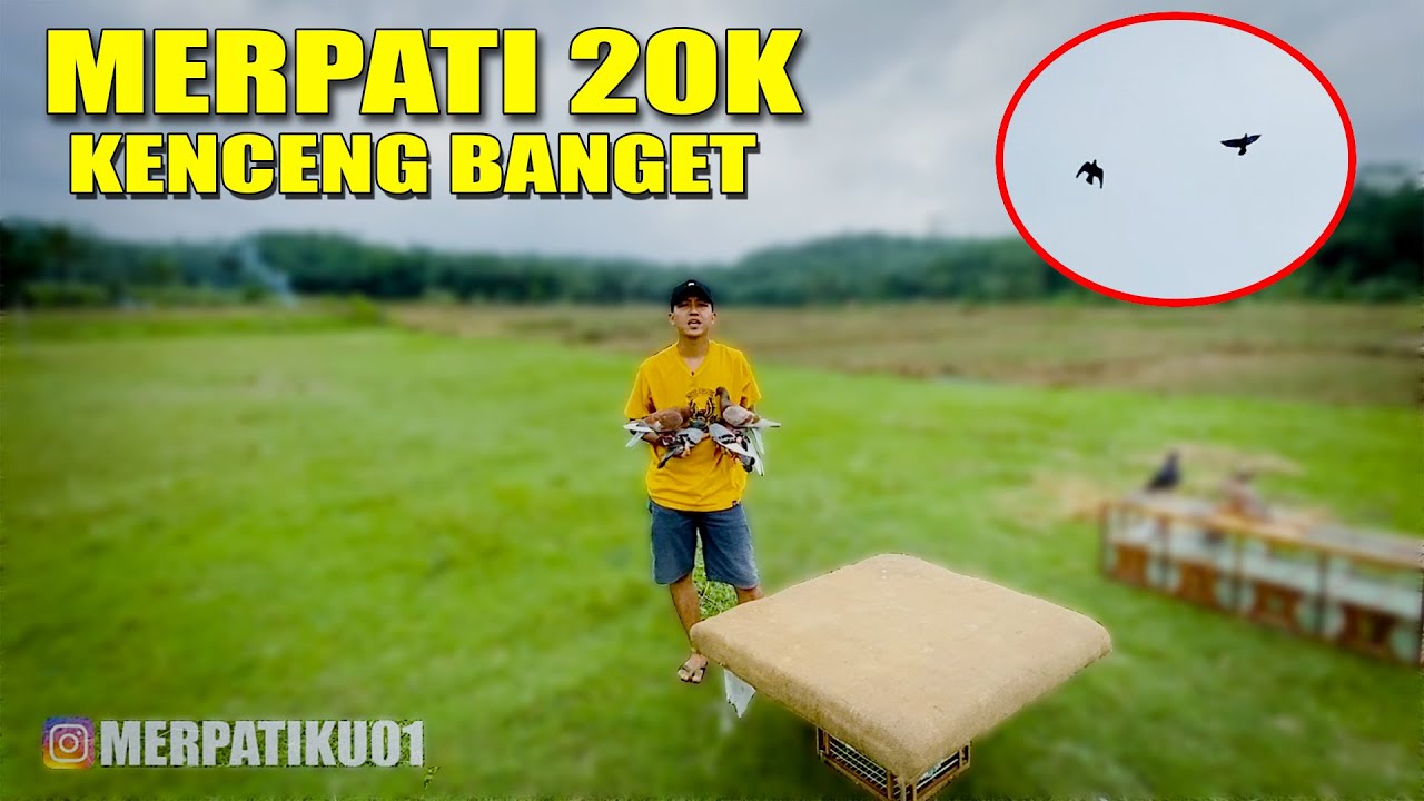 SESUAI PREDIKSI!! EKSPERIMEN TERBANGIN MERPATI BARU DISAWAH