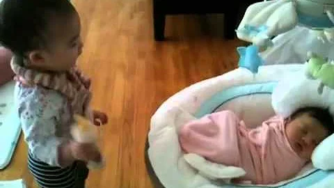 Nanette feeds odette