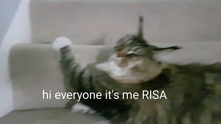 My first video so please no hate