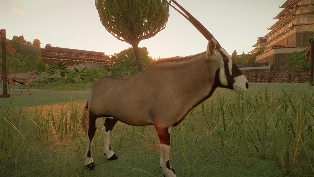Planet Zoo: Gemsbok