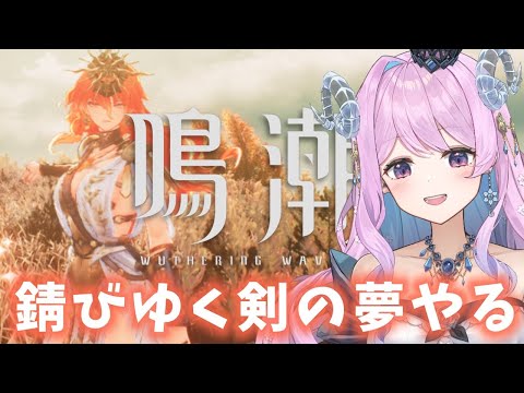 【#鳴潮】211 朝活！オハヨしつつ錆びゆく剣の夢やるぞ〜！【#vtuber 】#ぶいきゃす杯 #PR #冬陽リッカ