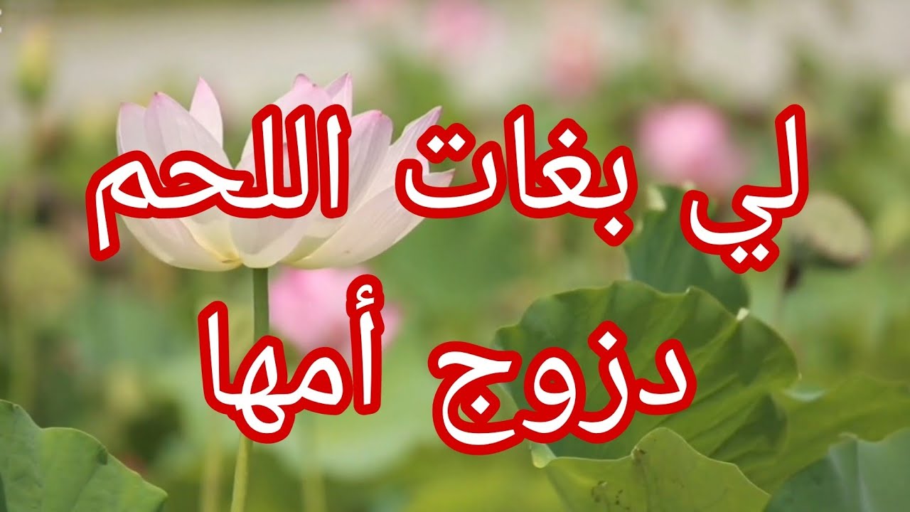 حكاية نورة مع أمها..