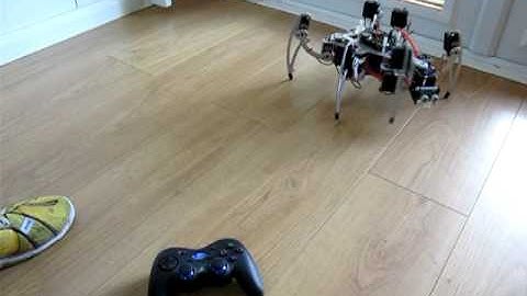 MSR-H01 hexapod 2009_11_02