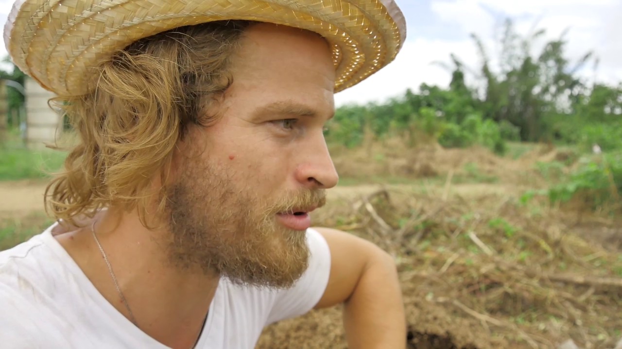 Moringa farm in Karen state Myanmar