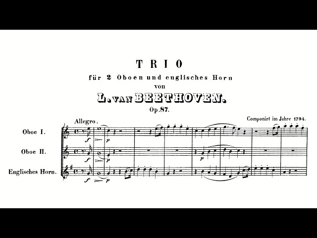 Beethoven: Trio for 2 Oboes and English Horn in C major, Op. 87 (with  Score) - YouTube