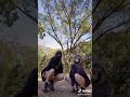 JK