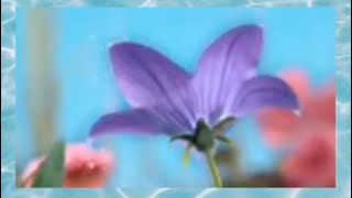 Frank Purcell  This My Song