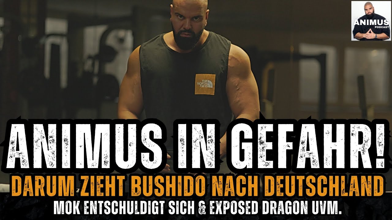 FLIZZY WILL ANIMUS IN DUBAI SCHNAPPEN, ARAFATS DIREKTE WORTE UVM. - DER ANIMUS PODCAST #1168-1173