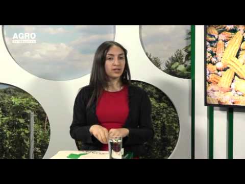 Video: 6 Moduri De A Sărbători Ziua Pământului - Rețeaua Matador