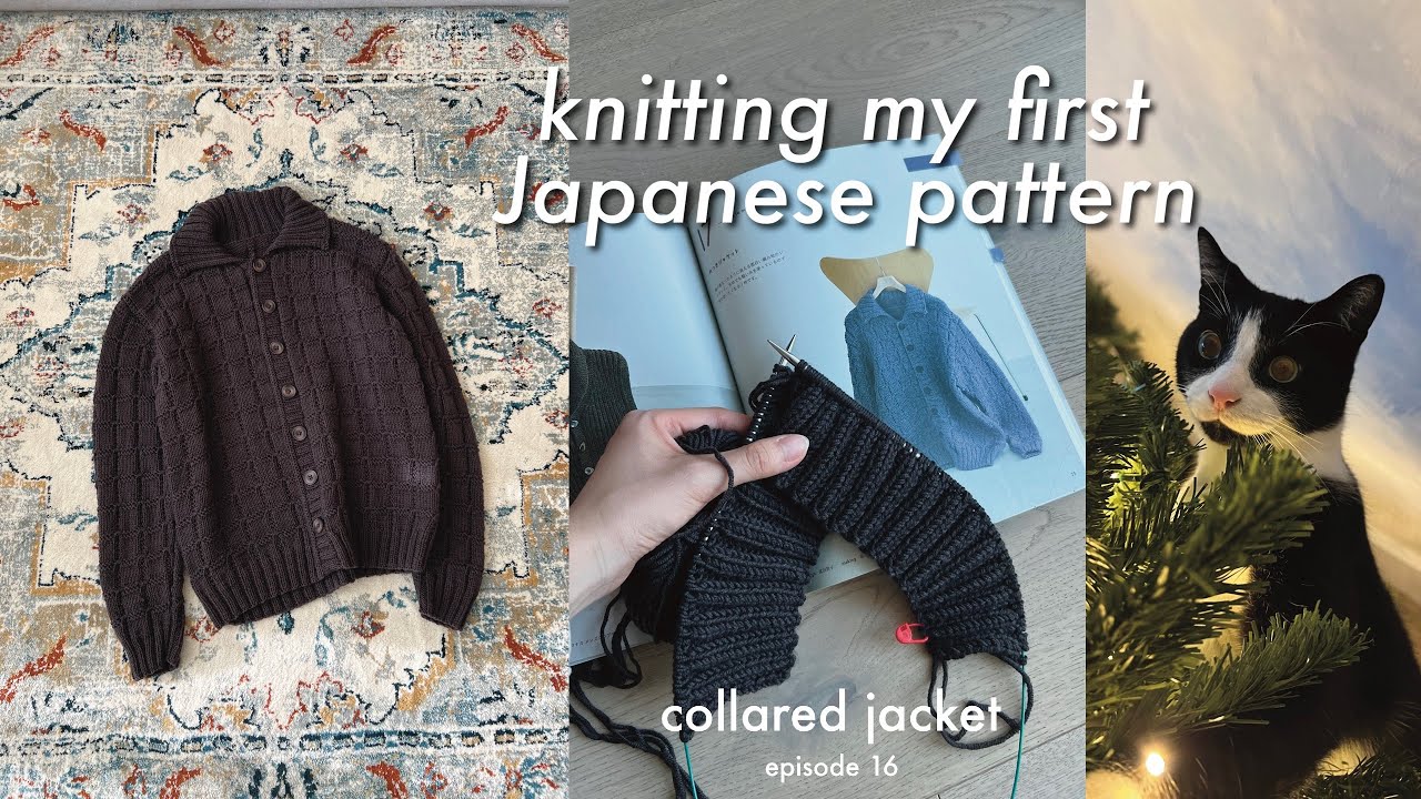 Вязание по японскому узору впервые | Ацуко Такеда | Вязаный видеоблог/дневник, эпизод 16 | cindknits