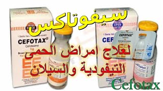 حقن سيفوتاكس مضاد حيوى لعلاج امراض الحمى التيفودية والسيلان CEFOTAX دواعى الاستخدام والاثار الجانبية