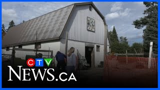 Special project underway at Ralphy's Retreat Animal Sanctuary