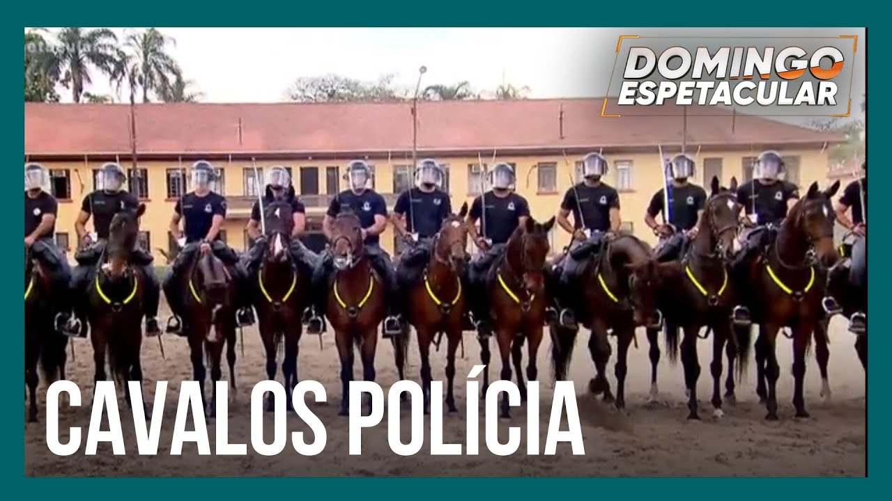 Mari Weickert acompanha o treinamento de cavalos da polícia