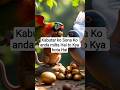 AI animal cat kabutar tota 🦜🕊️#ai #animals #viral #aianimation #trending