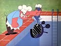 Tom and jerry cartoon episode 118  high steaks 1962  funny animals cartoons for kids