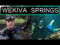 😱WOW🐊 - DEEP in Wekiwa Springs, Wekiva River, and Wekiva Island - Most Beautiful Places in Florida