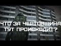 Странные звуки | Stalker online