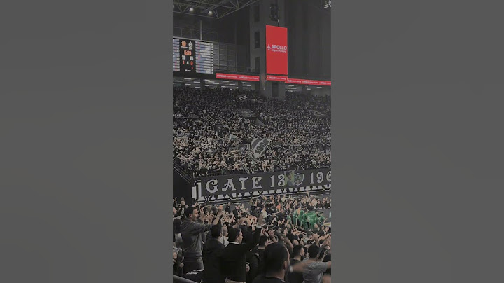 📱POV | Watching #paobc win over #fenerbahçe for #euroleague ☘️🏀 #panathinaikos #athens #shorts