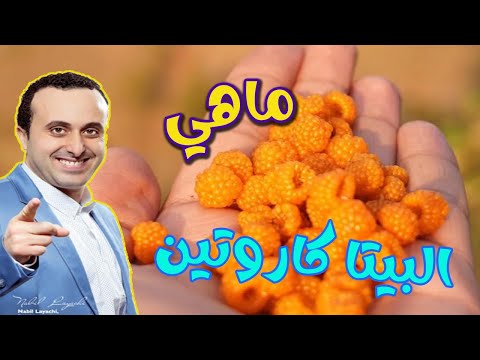 البيتا كاروتين وماذا يفعل في جسمك مع أخصائي التغذية نبيل العياشي