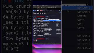 Ethical Hacking for Beginners: The Ultimate 2024 Roadmap
