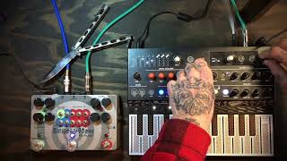 Ambient evolving jam with Microfreak and Echolution