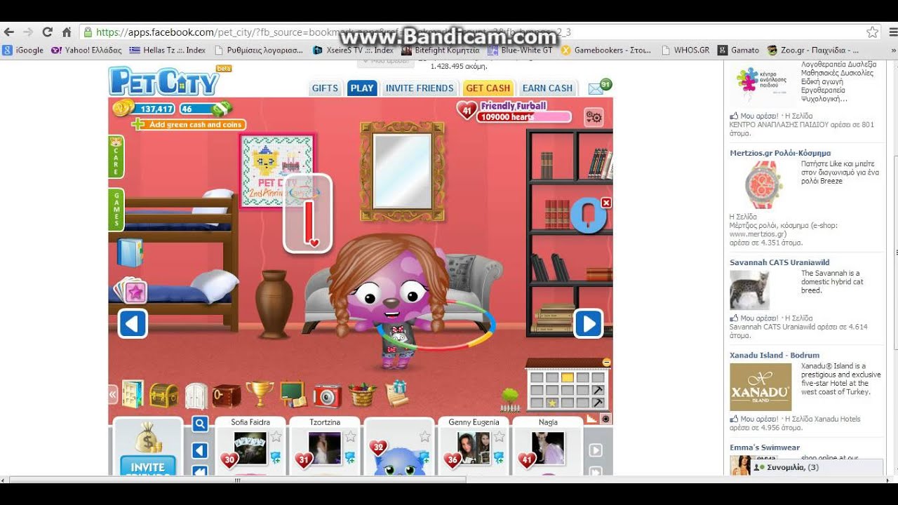 pet city hacked pet city hacked