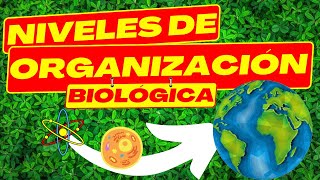 🧬NIVELES DE ORGANIZACION DE LOS SERES VIVOS | BIOLOGIA