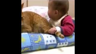 Part 1 ;  lucuuuuu bayi ngobrol sama kucing,  lihat apa reaksi kucingnya!!!!