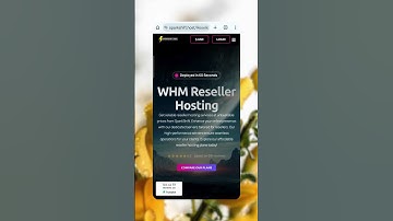 💪 Best Reseller Hosting With WHMCS | Best Cheap Reseller Hosting (Insanely Good Deals)