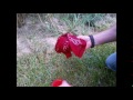 Middle of video