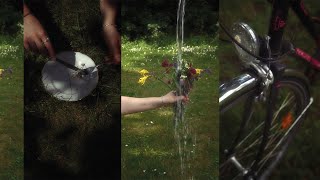 Nobutthefrog Out Now Reels