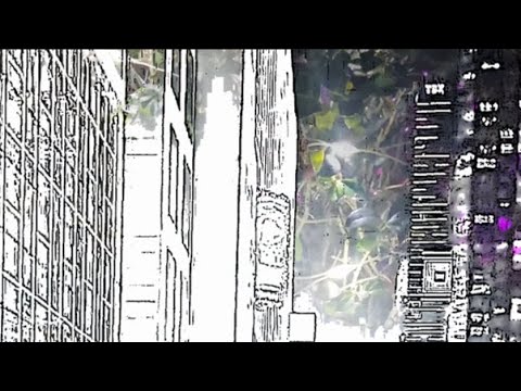 Guarda The Repressions - Bright Lights (Official Music Video) su YouTube